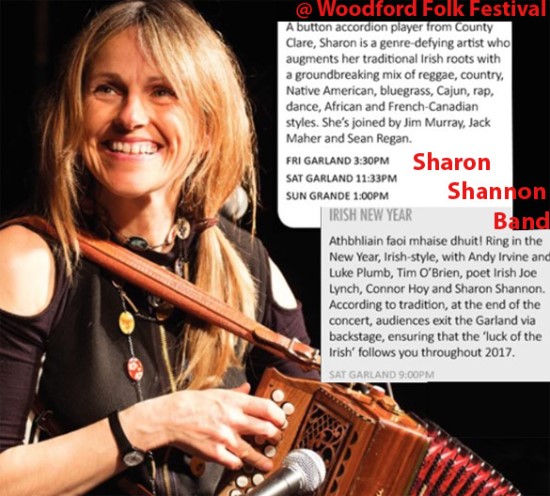 Sharon Shannon Band at the woodford folk festival australia
