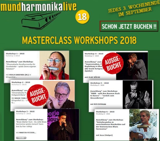 Mundharmonika Masterklassen in Klingenthal - Deutschland