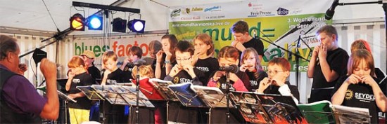 Mundharmonika Masterklassen in Klingenthal - Deutschland